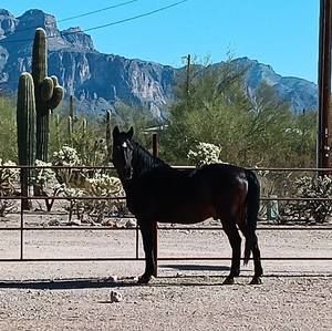 Meet your Posher, Kathy